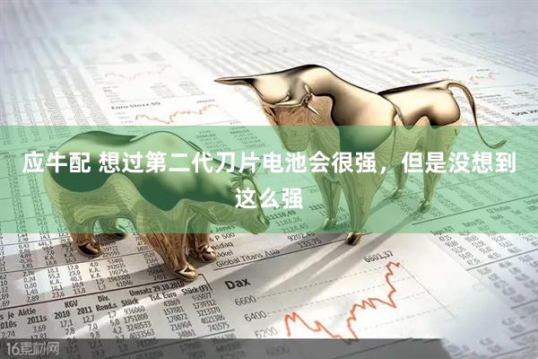 应牛配 想过第二代刀片电池会很强，但是没想到这么强