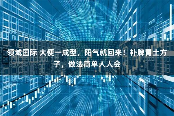 领域国际 大便一成型，阳气就回来！补脾胃土方子，做法简单人人会