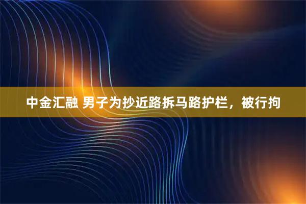 中金汇融 男子为抄近路拆马路护栏，被行拘