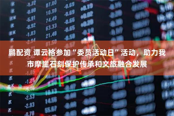 鹏配资 谭云格参加“委员活动日”活动，助力我市摩崖石刻保护传承和文旅融合发展