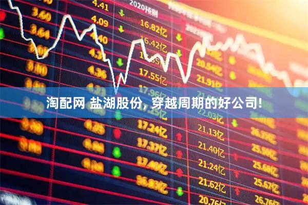 淘配网 盐湖股份, 穿越周期的好公司!