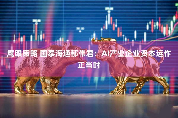 鹰眼策略 国泰海通郁伟君：AI产业企业资本运作正当时