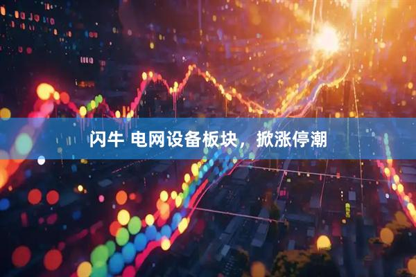 闪牛 电网设备板块，掀涨停潮