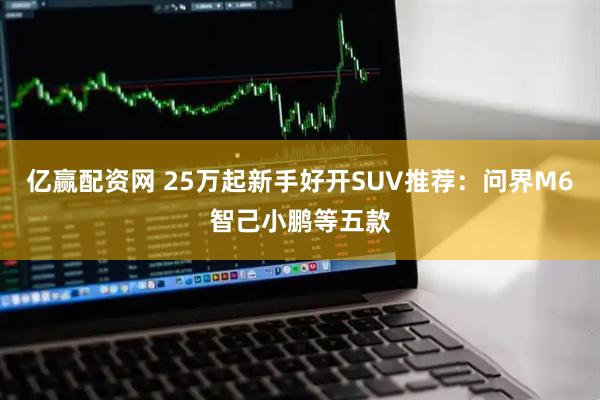 亿赢配资网 25万起新手好开SUV推荐：问界M6智己小鹏等五款